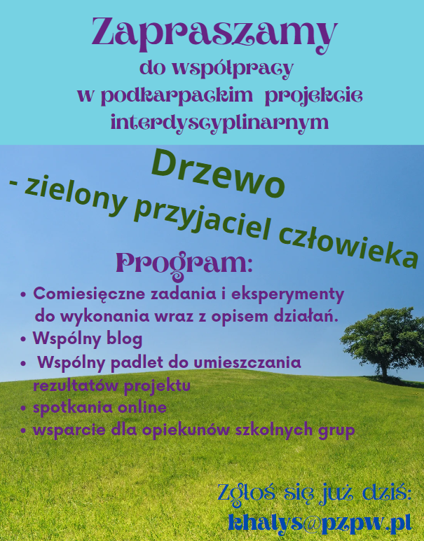8 drzewo