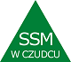 Logo Szkolenego Schroniska Młodzieżowego w Czudcu
