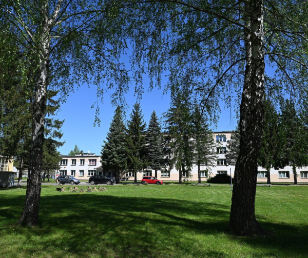 Wakacyjny wypoczynek w Szkolnych Schroniskach Młodzieżowych przy PZPW w Rzeszowie - pomysł na przygodę i lato pełne wrażeń